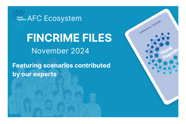 November 2024 FinCrime File